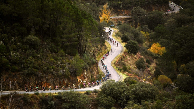 Race Review: La Vuelta a España 2024